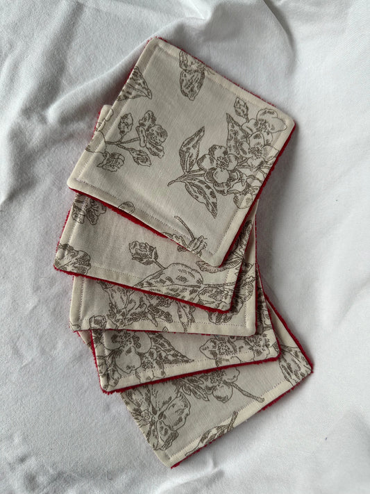 Lot de 5 cotons lavables beige